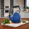 imageLe Creuset Enamel On Steel Demi Tea Kettle with Metal Finishes 125 qt CaribbeanMarseille
