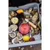 image:imageLe Creuset Stoneware Mini Round Cocotte 8 oz MarseilleSea Salt
